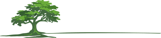 High Desert Property Management