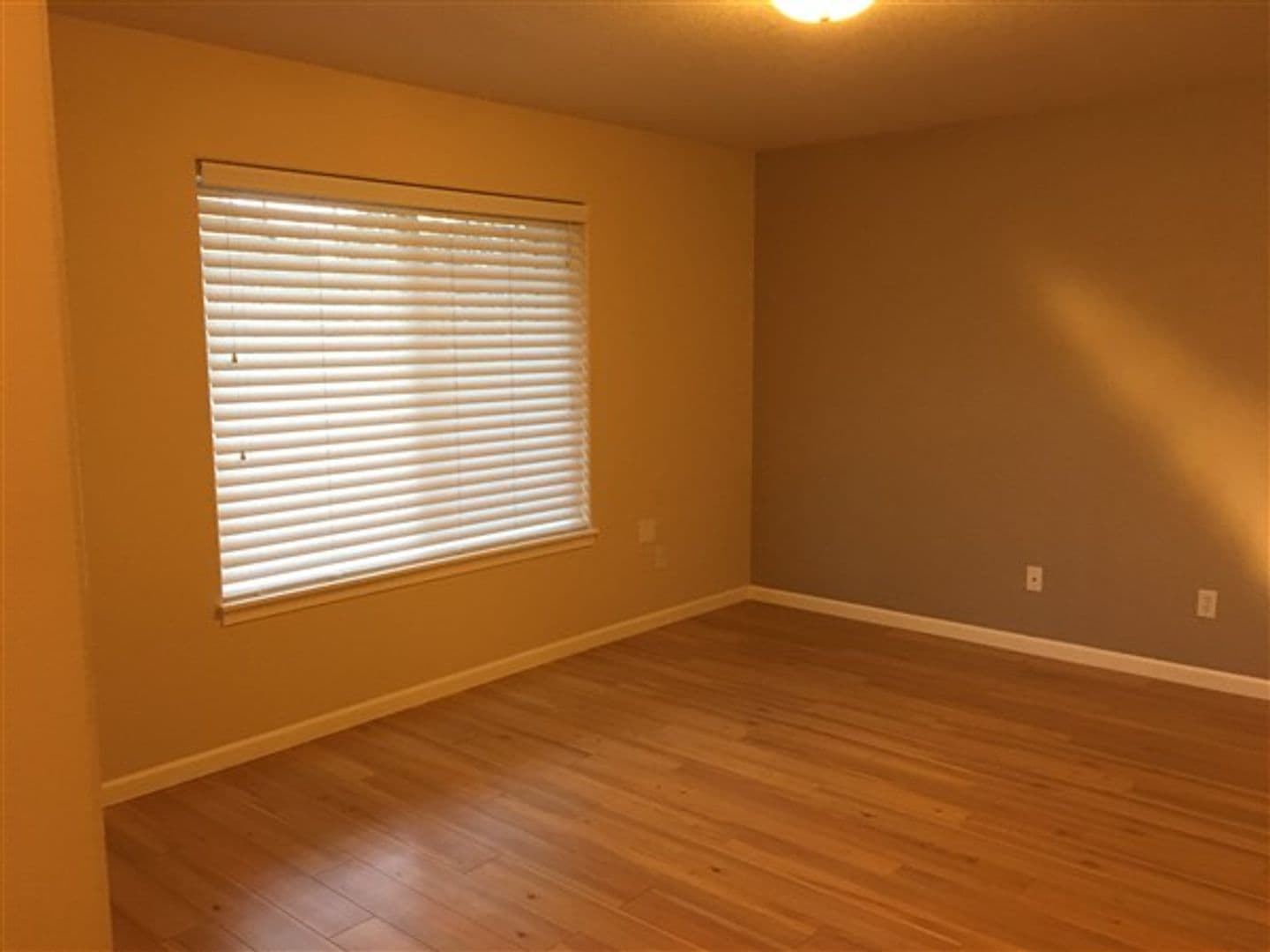 20581 Sun Meadow Way - Photo 3
