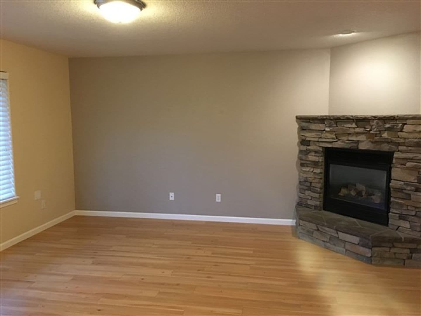 20581 Sun Meadow Way - Photo 2