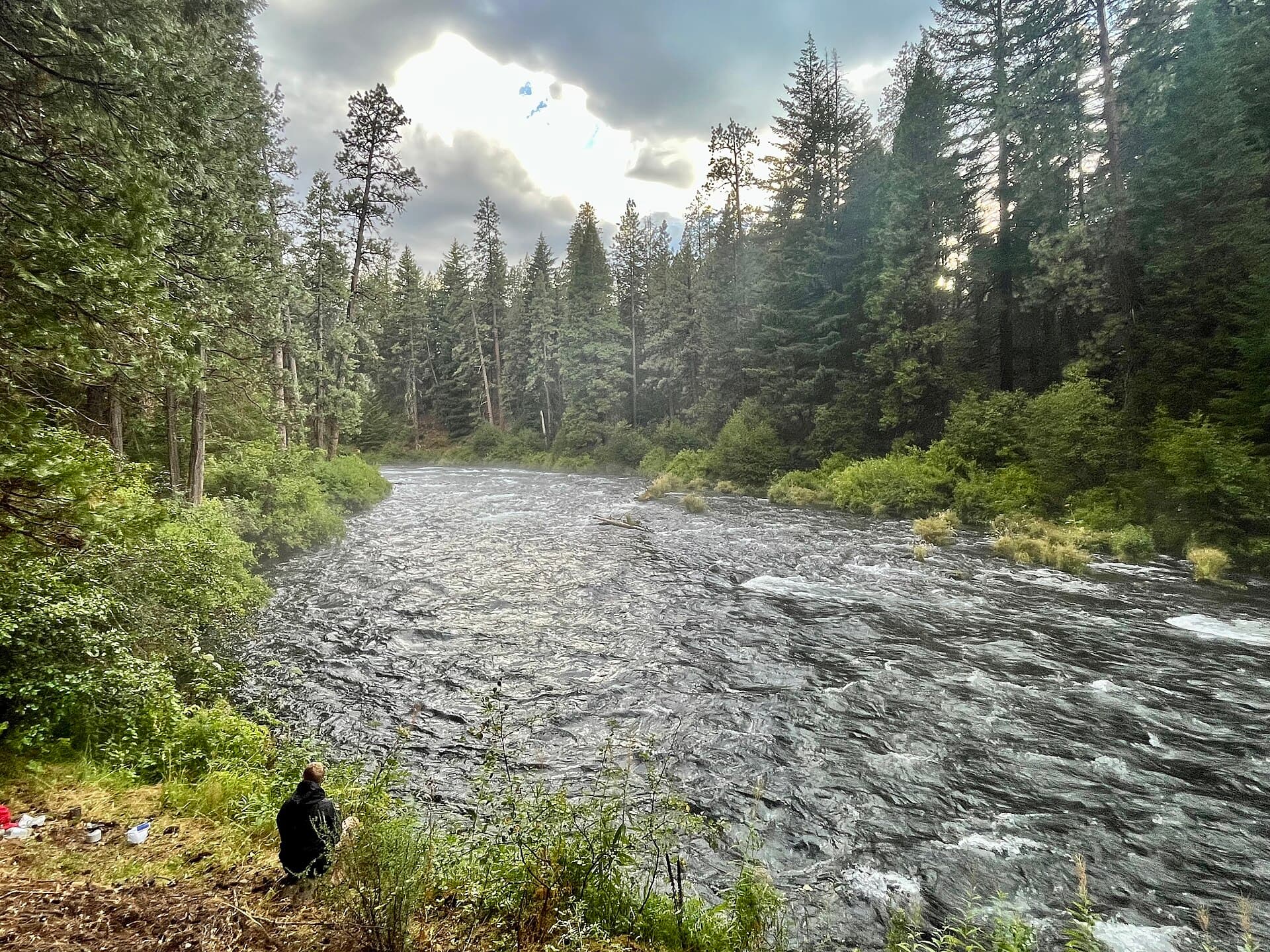 The spring-fed Metolius River flowing through the forest