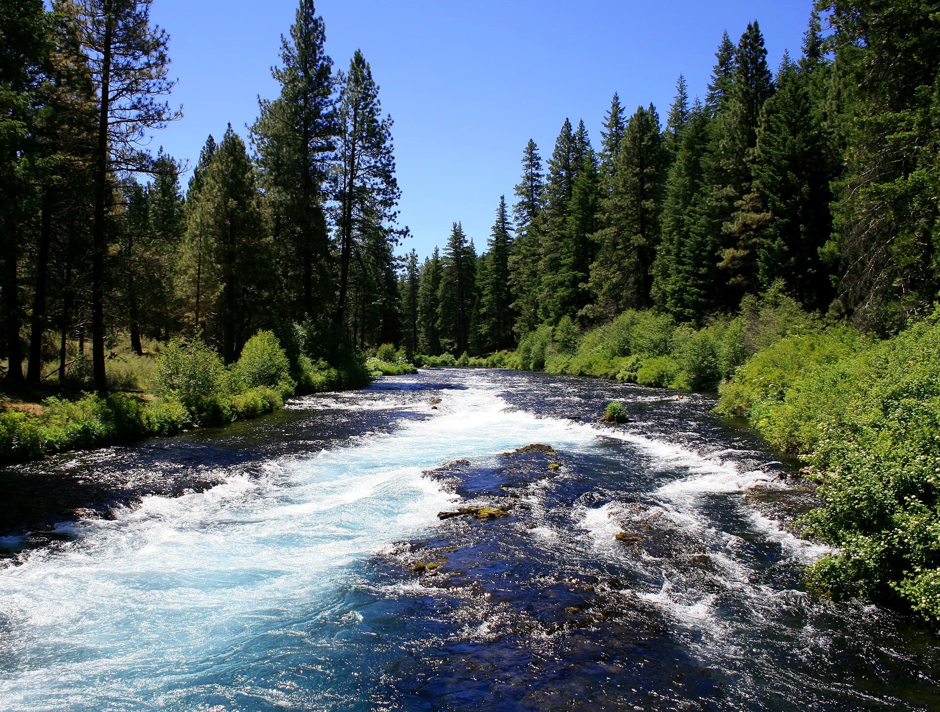 The Metolius River flowing through ponderosa pines near Wizard Falls